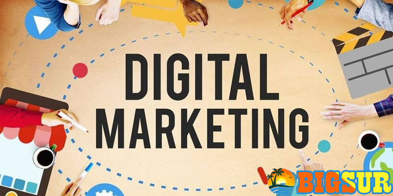 Fungsi Digital Marketing