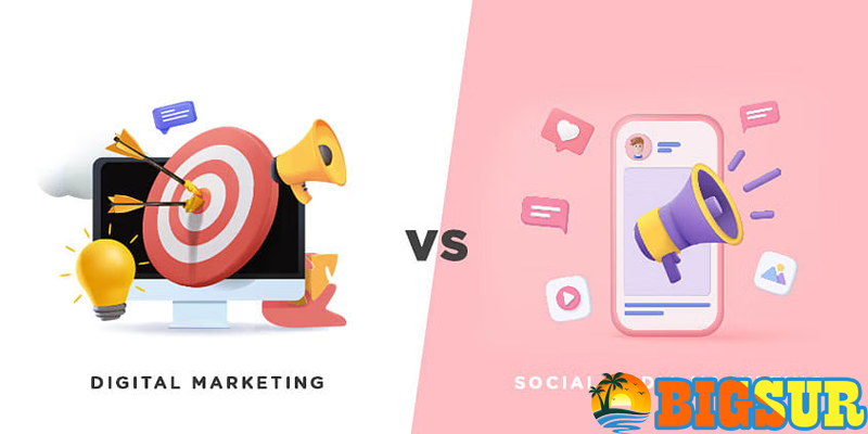 Perbedaan Utama Antara Digital Marketing dan Social Media Management